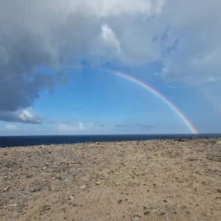 🌈✈️🌕🍂 Wat een mooie reis!

Wat een dag, mensen! Ik begon van de week de ochtend met een dubbele regenboog.  Echt zo’n moment dat je denkt: oké, Universum, ik zie je 😉
Daarna met de volle supermaan de lucht in ✨ De maan was zo mooi zichtbaar. En nu… loop ik in Nederland tussen de herfstbladeren en de frisse lucht.

Wat een verschil in energie zeg!

De afgelopen weken waren zó intens voor mij. Die druk op m’n hoofd, rare dromen & gekke energie …

De energie voelt zó anders hier. Alsof ik even reset. Frisse neus, nieuwe inspiratie, nieuwe ontmoetingen & nieuwe vibes. Een heerlijke diepe uitademing na al die intense dagen.

En jij?
Hoe voel jij je vandaag?
Is de energie bij jou ook veranderd?
Rustiger? Lichter? Of nog een beetje wiebelig?

Fijne zondag 💛